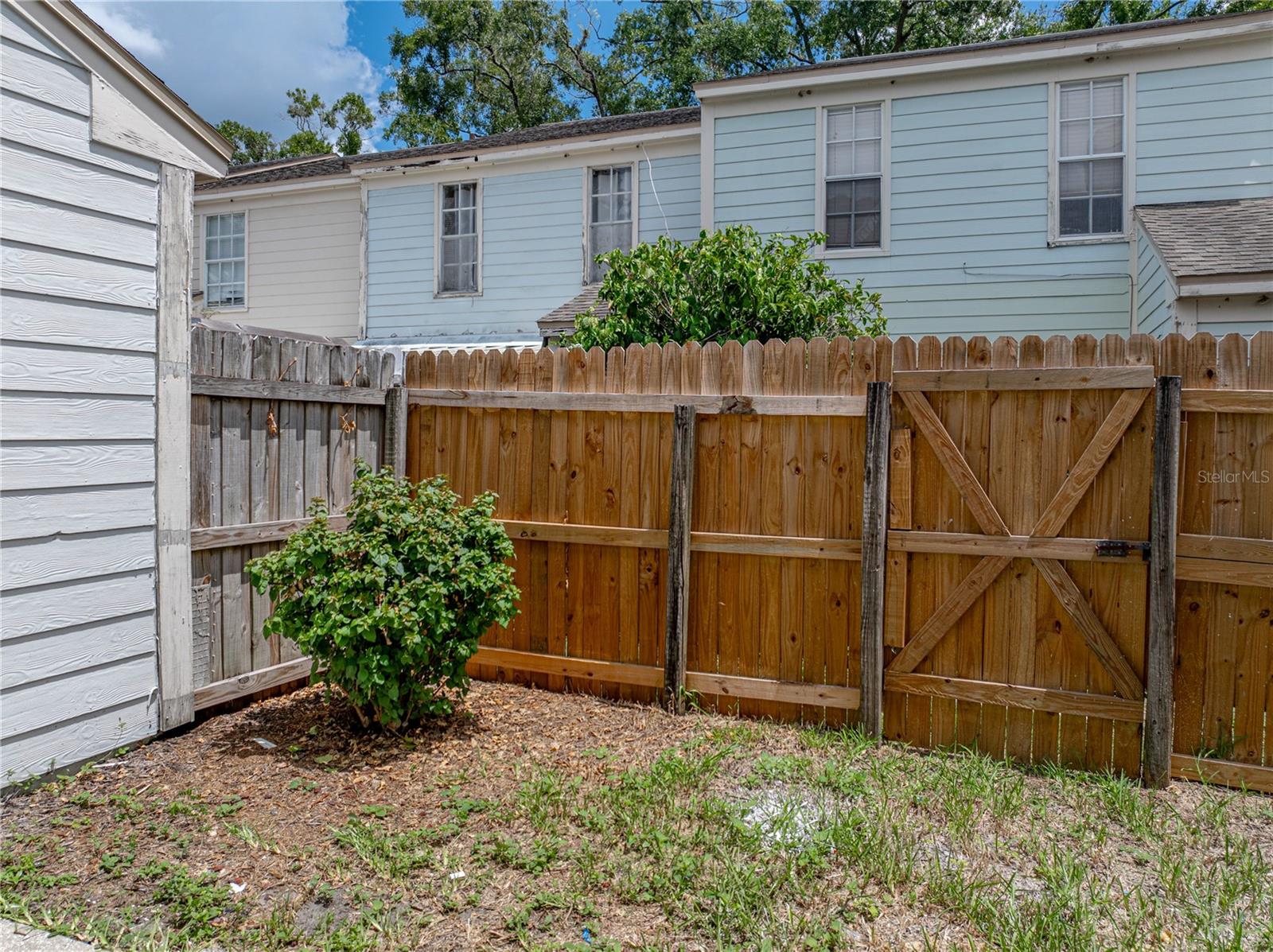 Back Yard