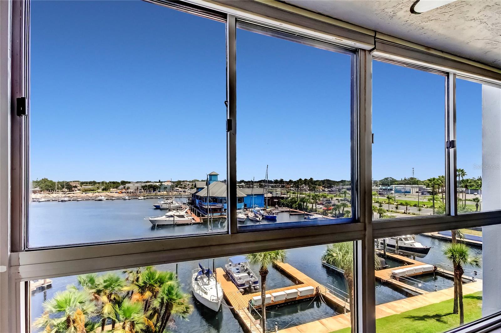 Florida Room with a view.