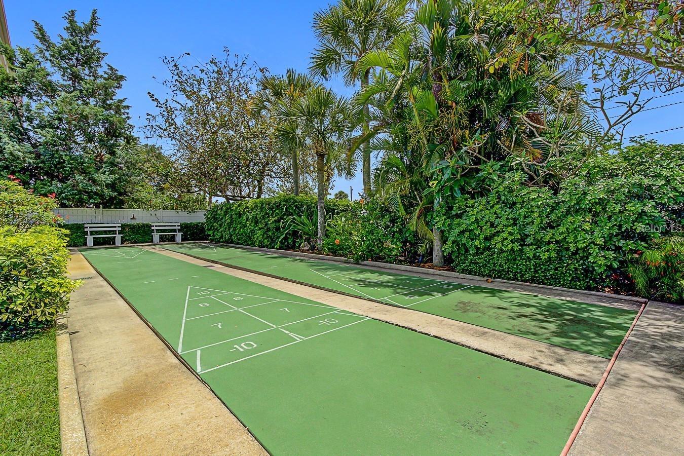 Shuffleboard