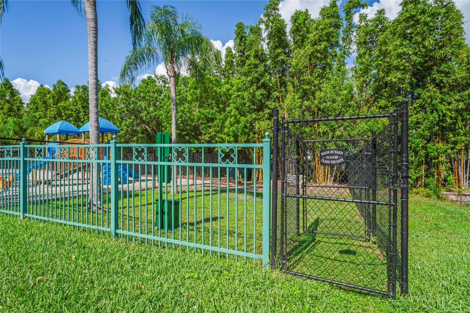 Dog Park