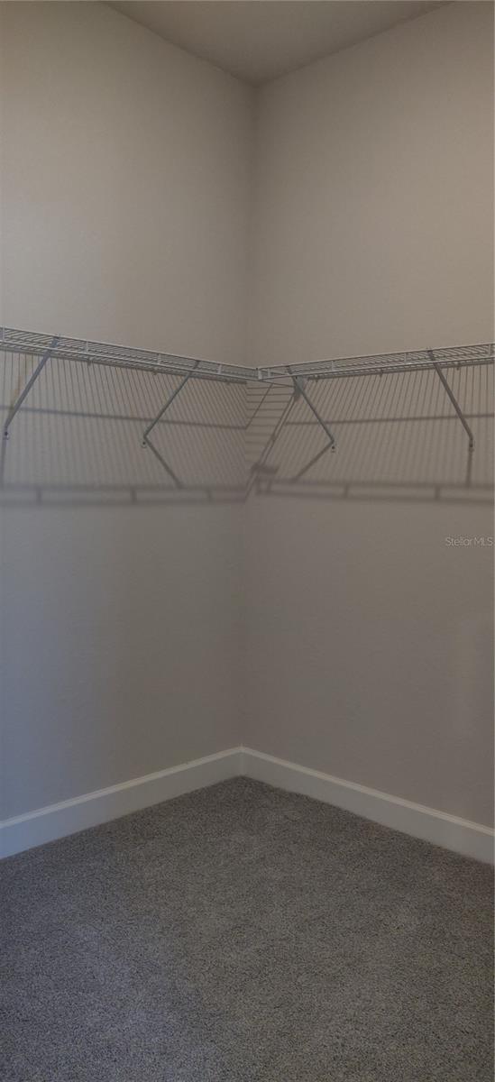 Primary Walk in Closet