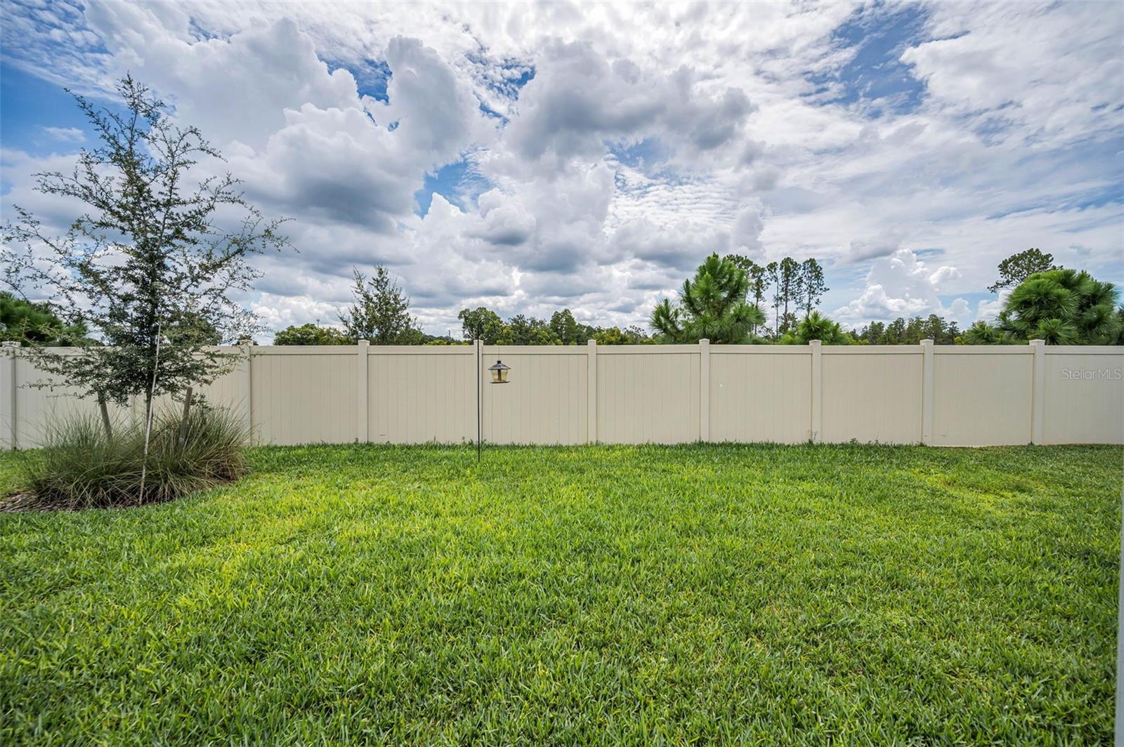 Large backyard