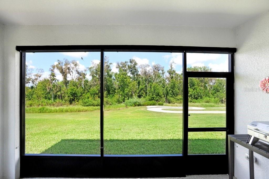 Back patio view