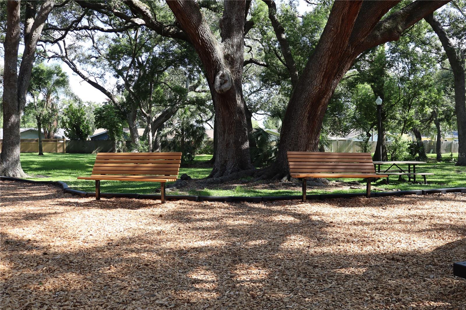Amberlea Park, 5 acres with a playground
