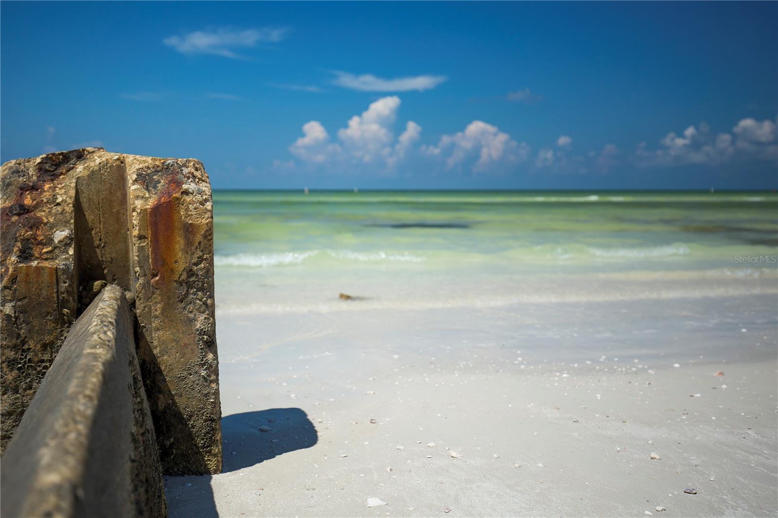 Honeymoon Island State Park