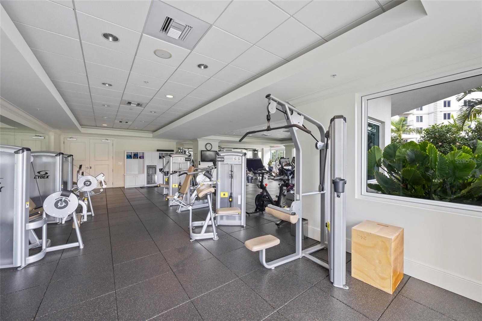 Gym