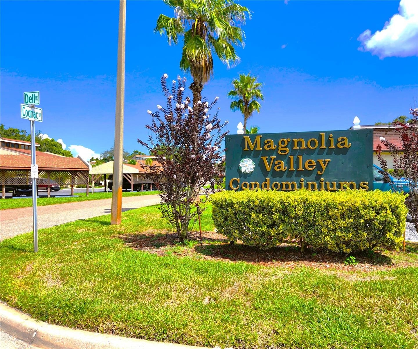 Magnolia Valley Condos: Age 55+ Community