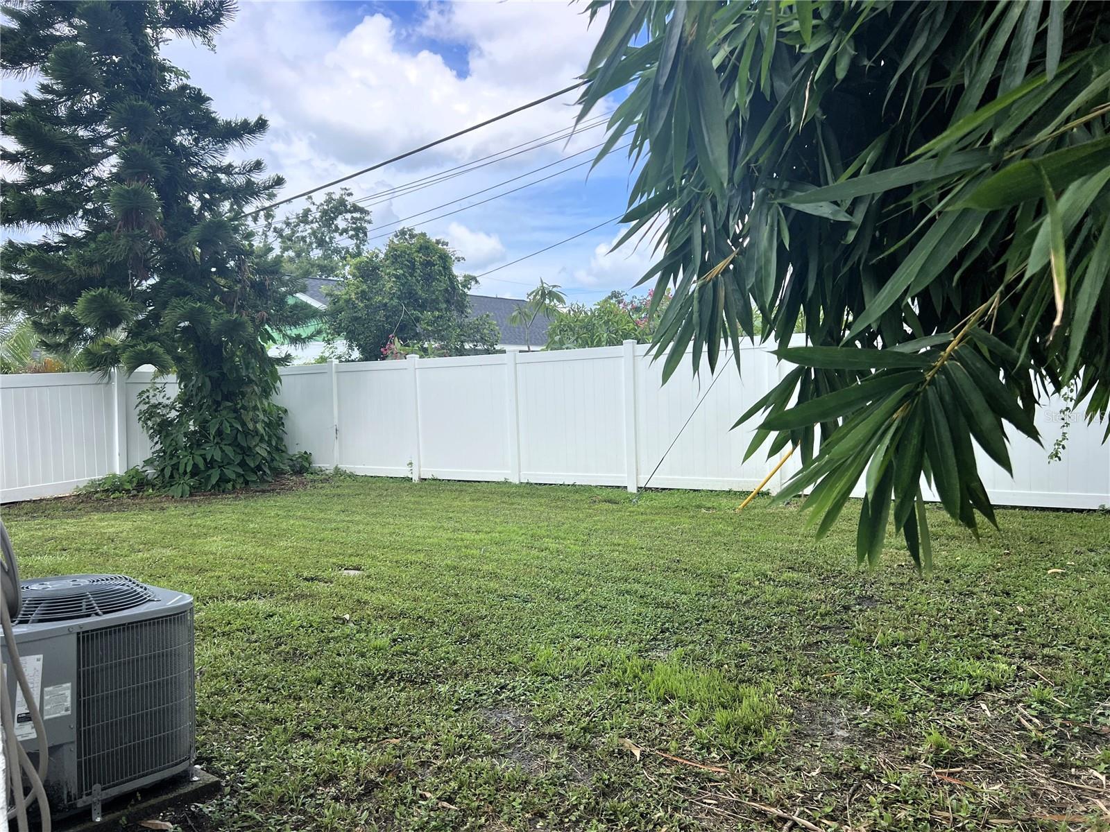 Backyard