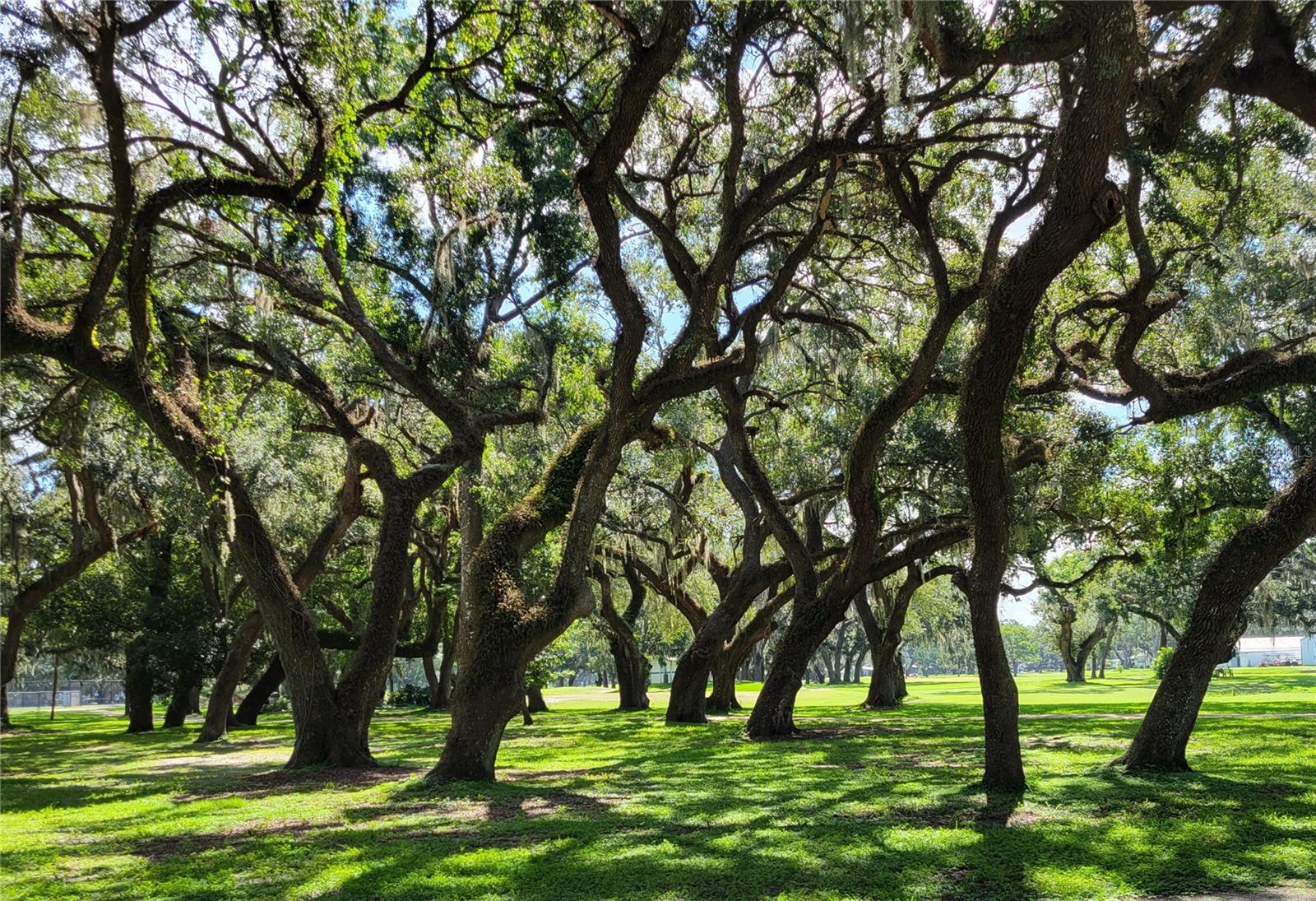 Gardens and walking trails
