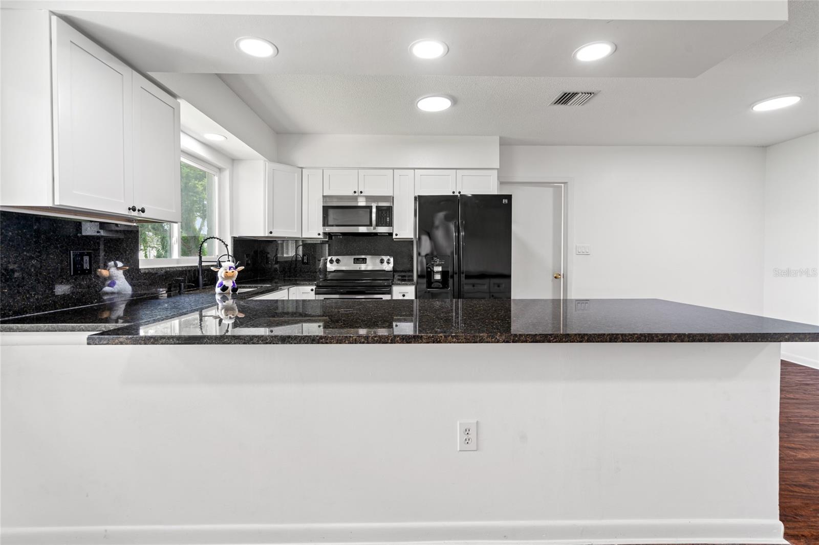 All new gorgeous kitchen, granite counters, shaker cabinets w/ 2 lazy susan cabinets too