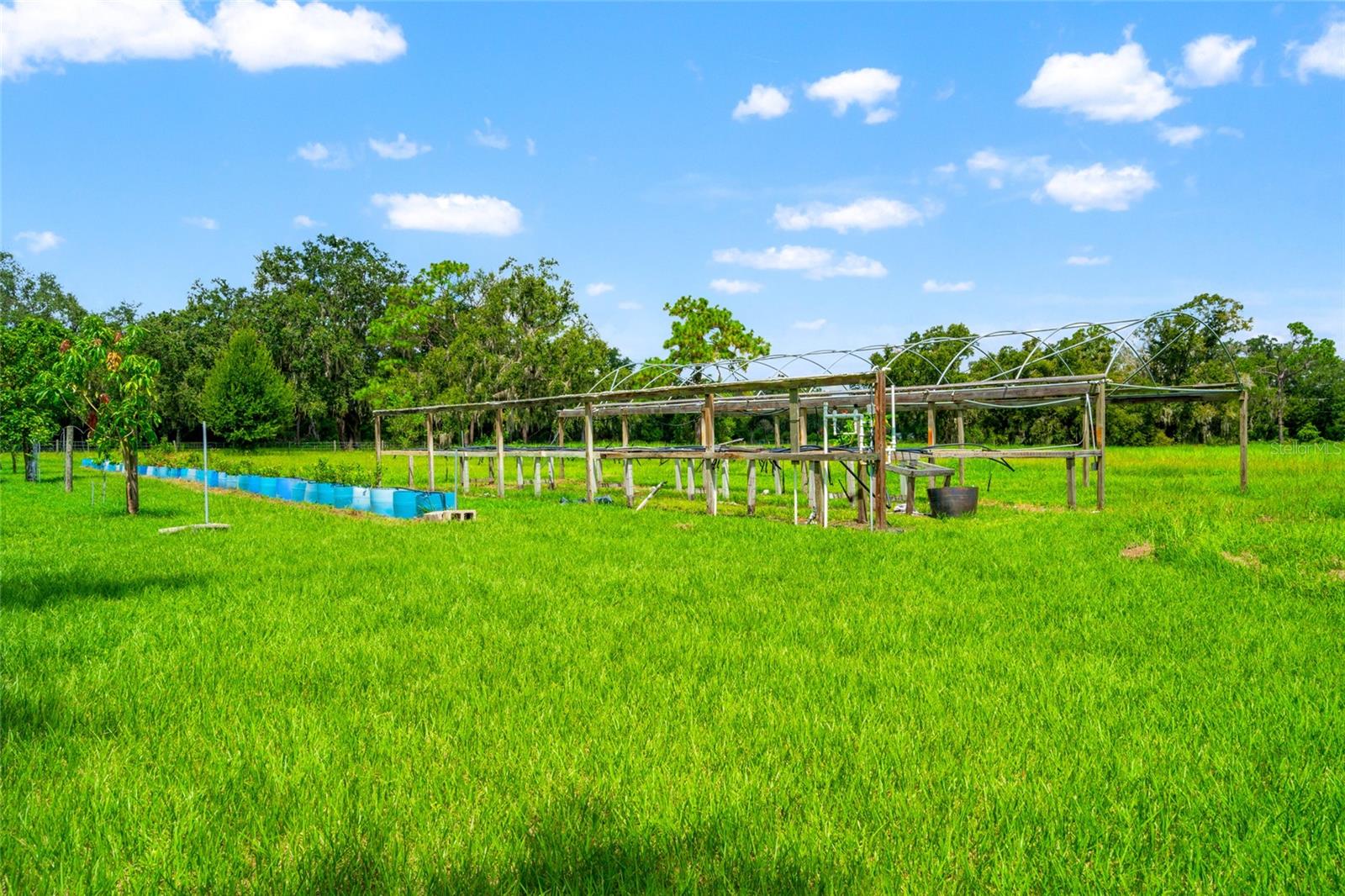 2 Greenhouses....TLC needed and really nice orchard