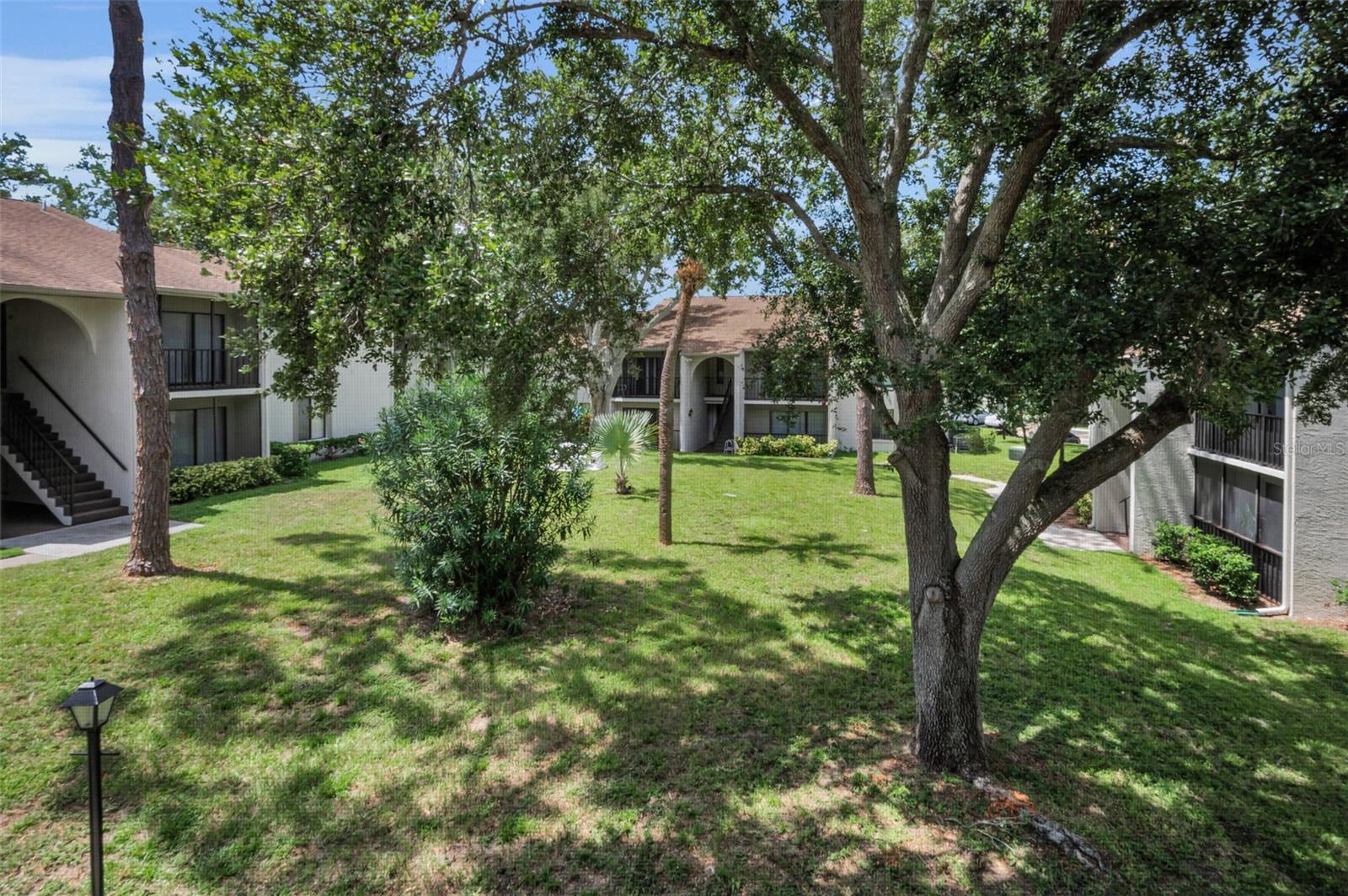 View of courtyard from patio