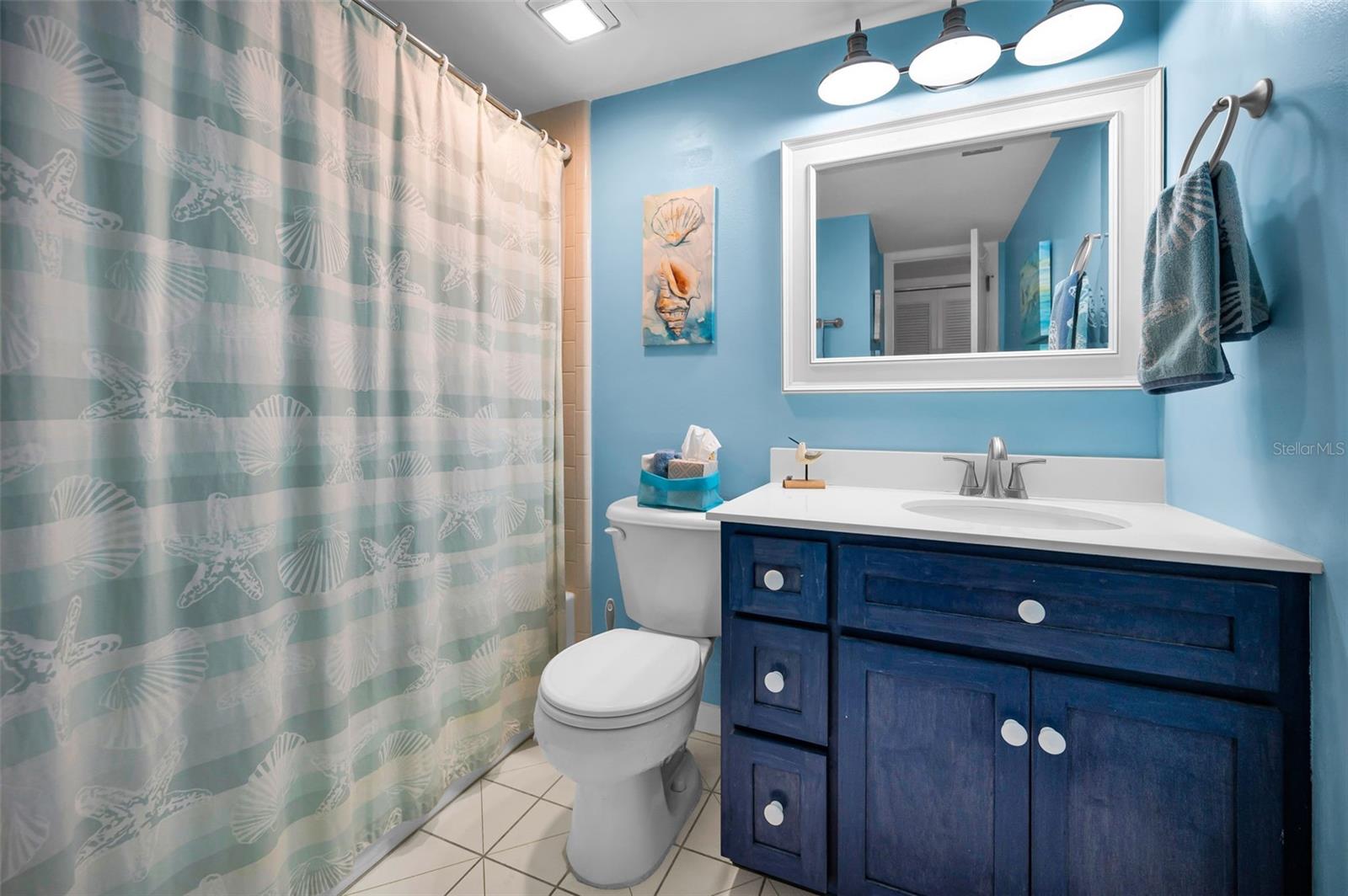 Guest Bath in Hallway