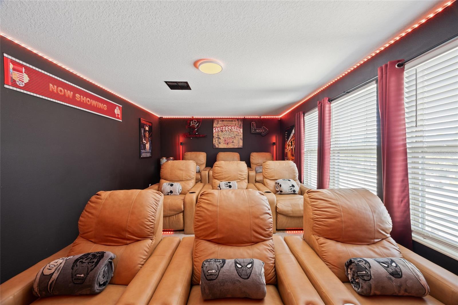 Theater Room
