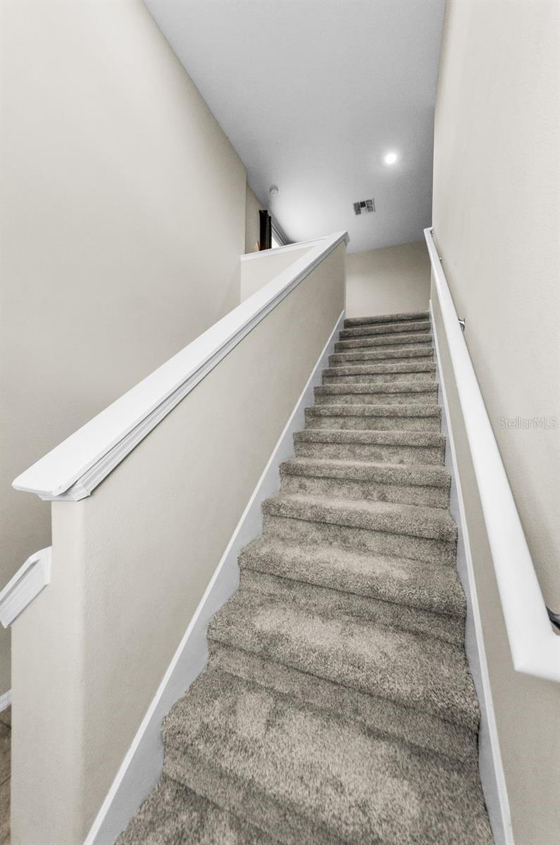 Let's go upstairs.  New carpet