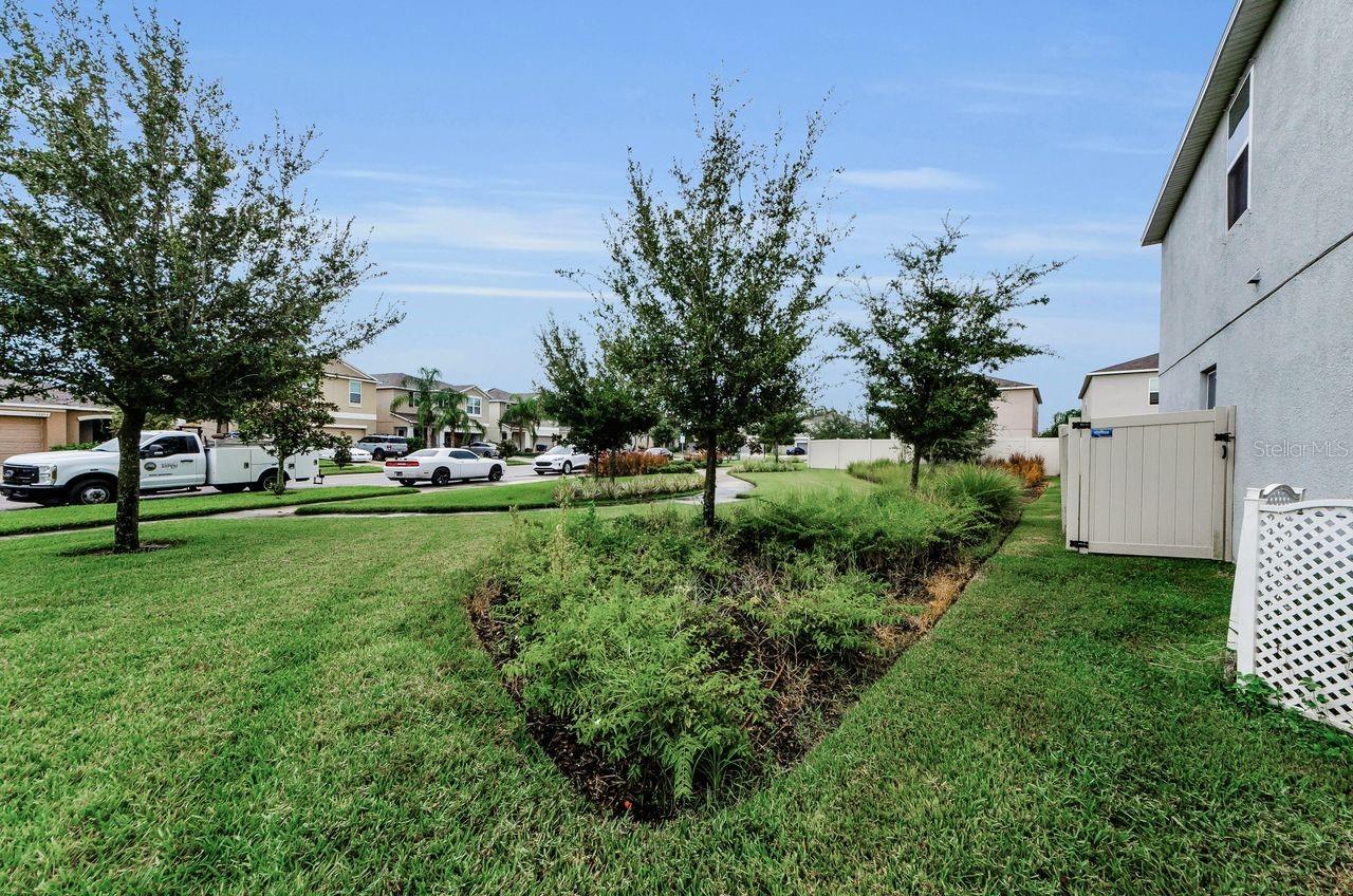 side yard that community mows