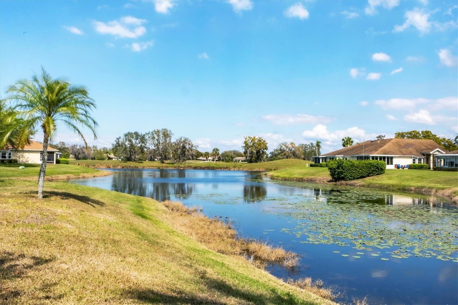 Rear water view from property