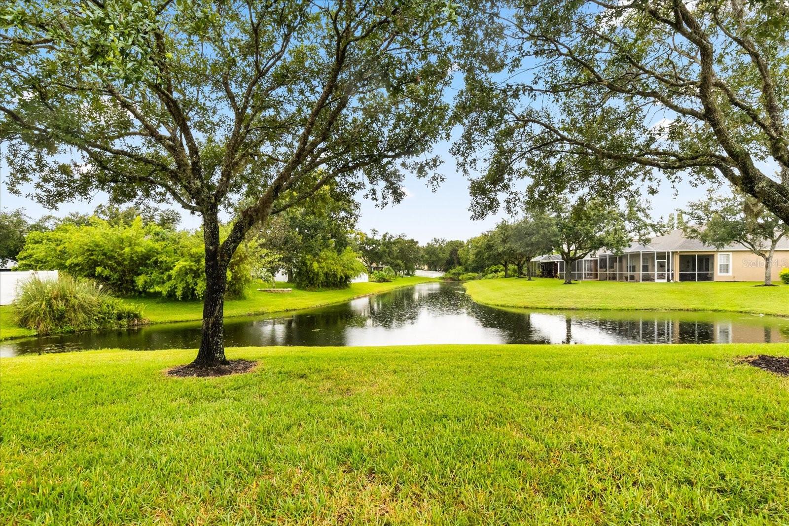 Pond behind of backyard