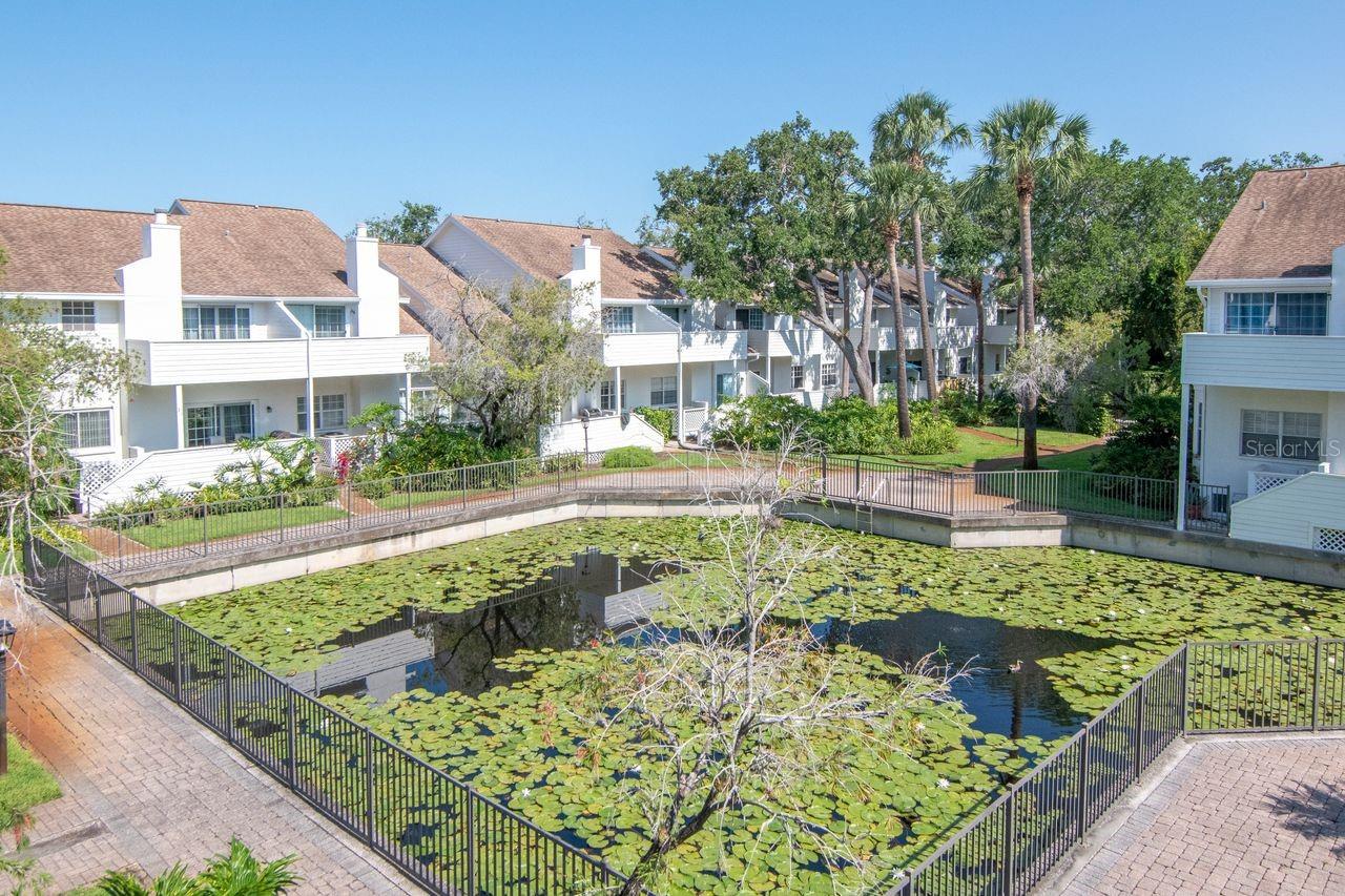Community pond and fountain