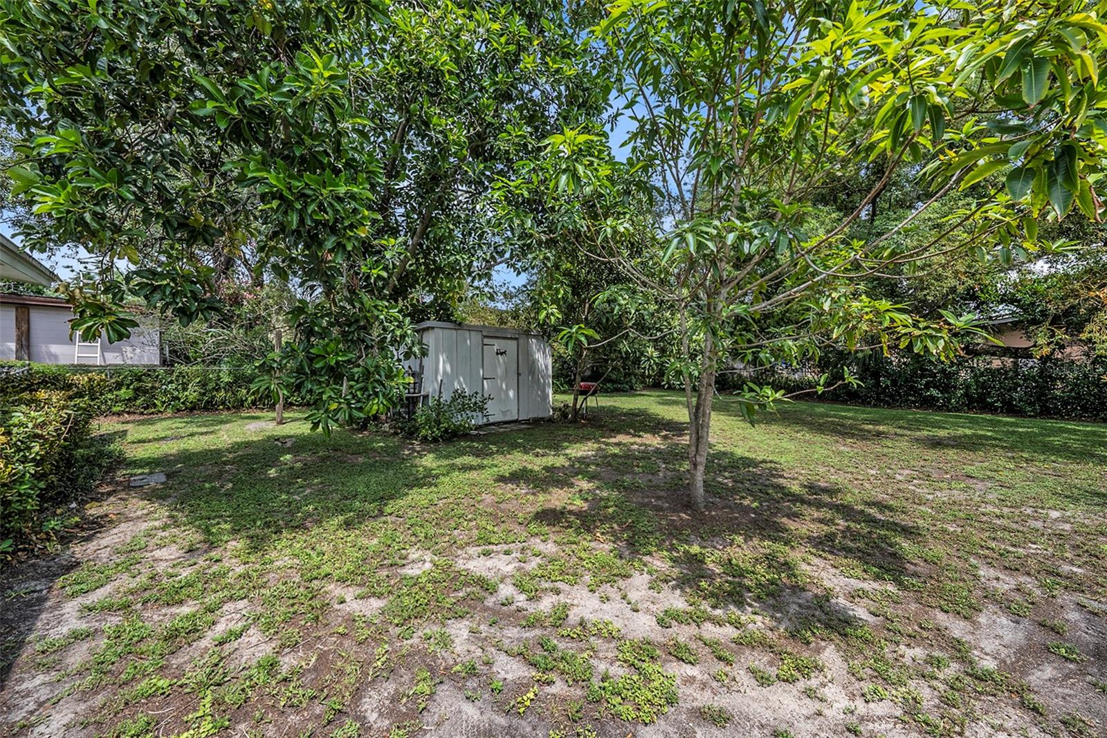 Storage shed offers more storage!