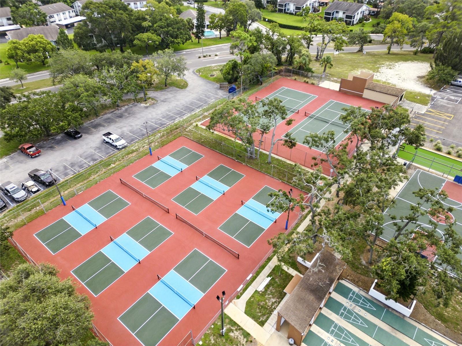 Community Pickle Ball Courts