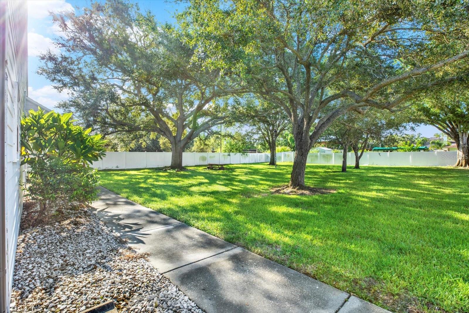 Large side yard with dog walk and picnic area