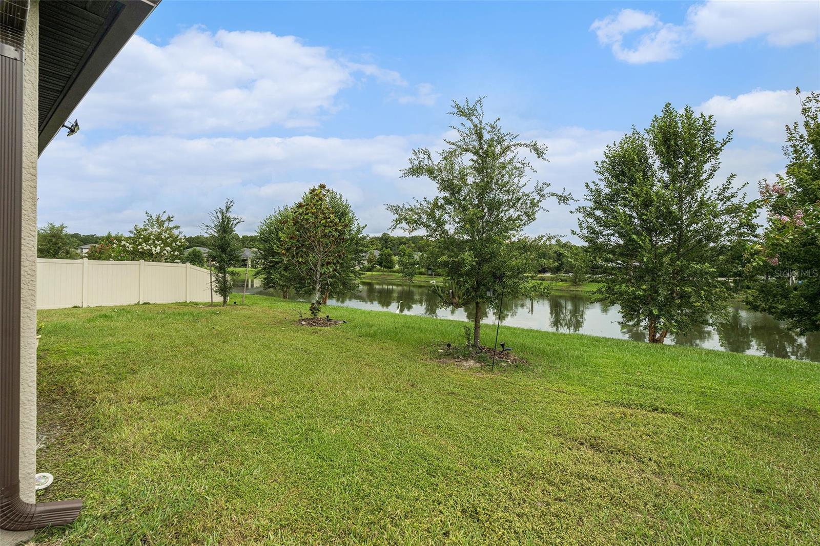 view of the pond
