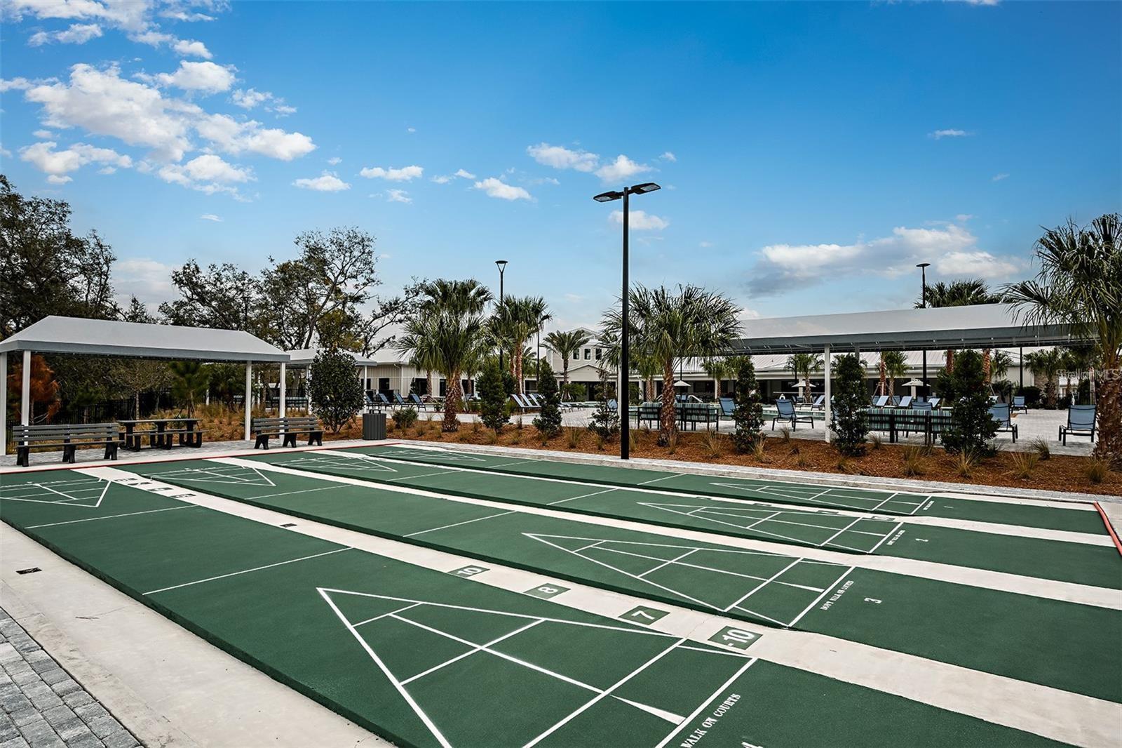 Shuffleboard