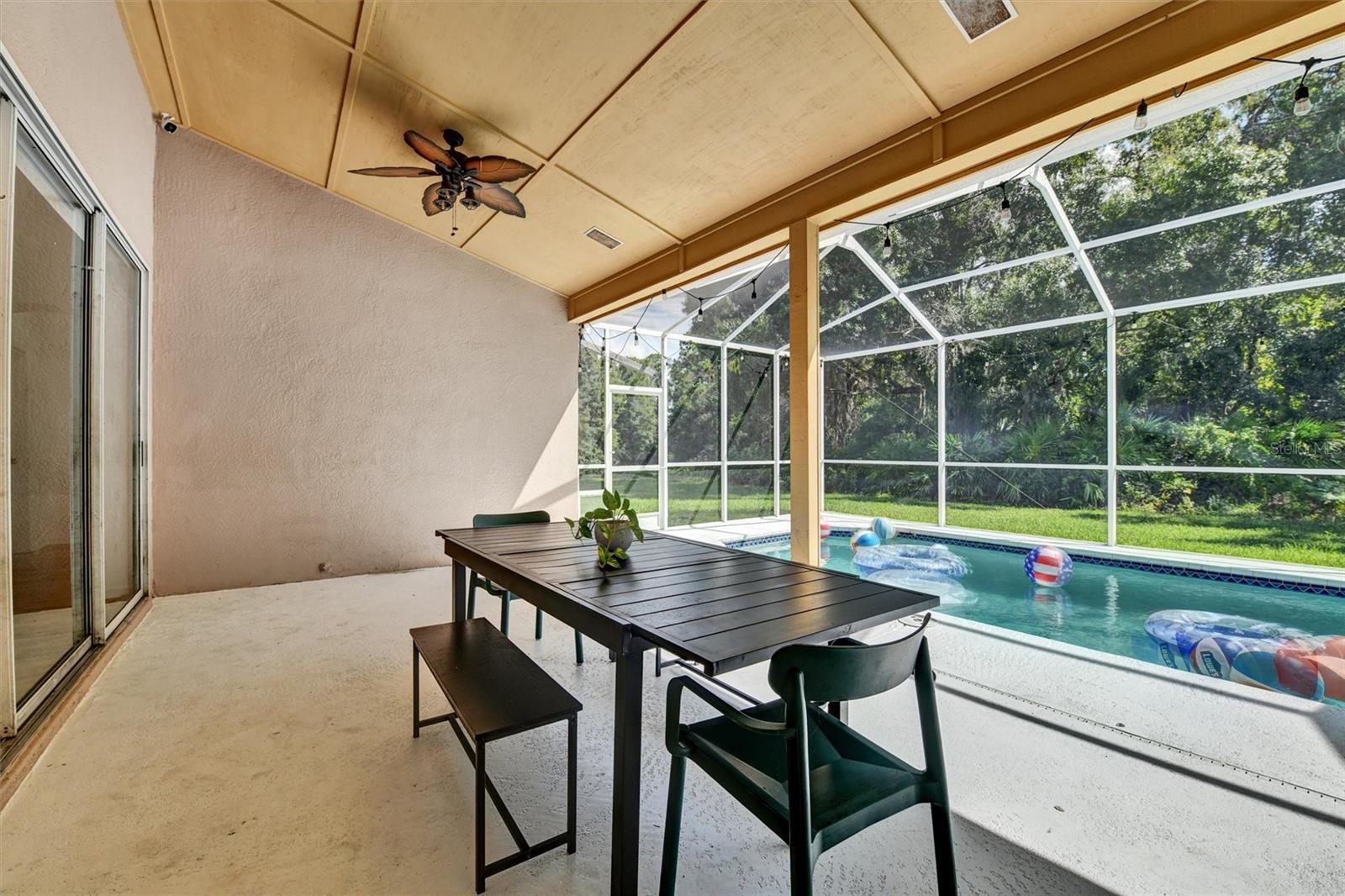 Covered and caged in patio