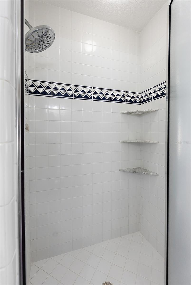 Master bath shower
