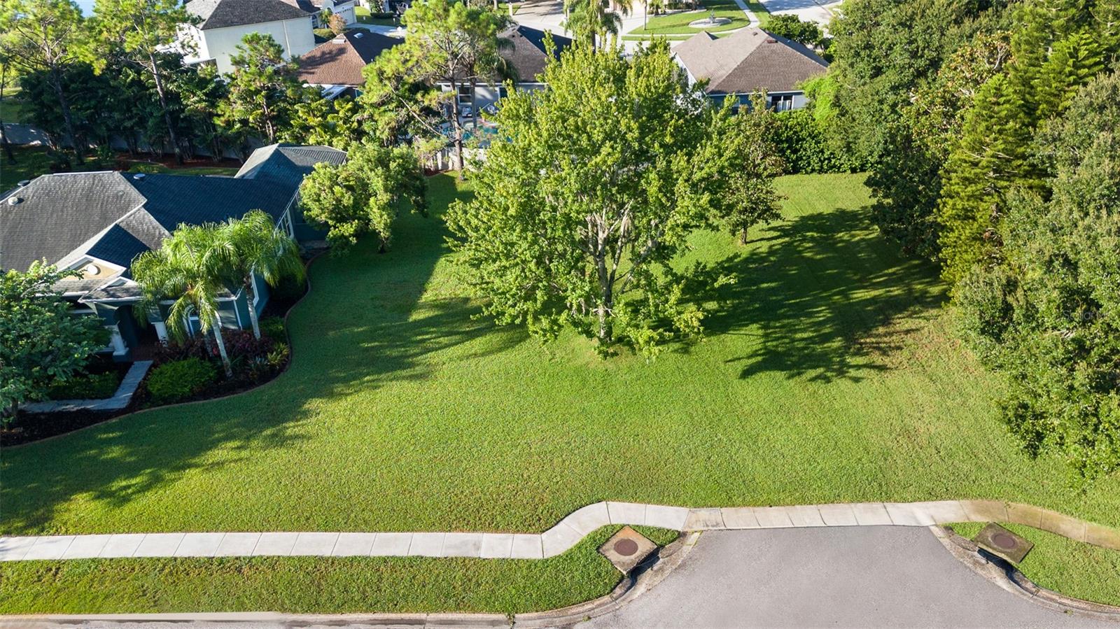 Aerial Showing Enormous Side Yard