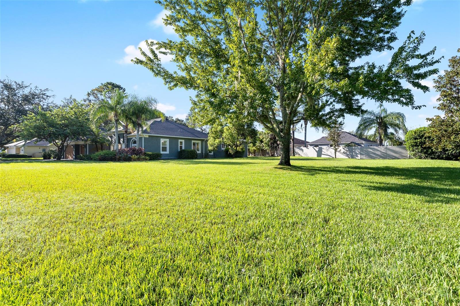 Side Yard