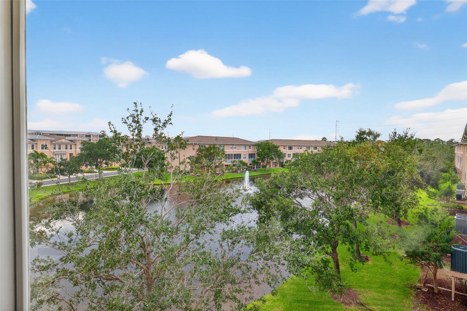 View from Primary