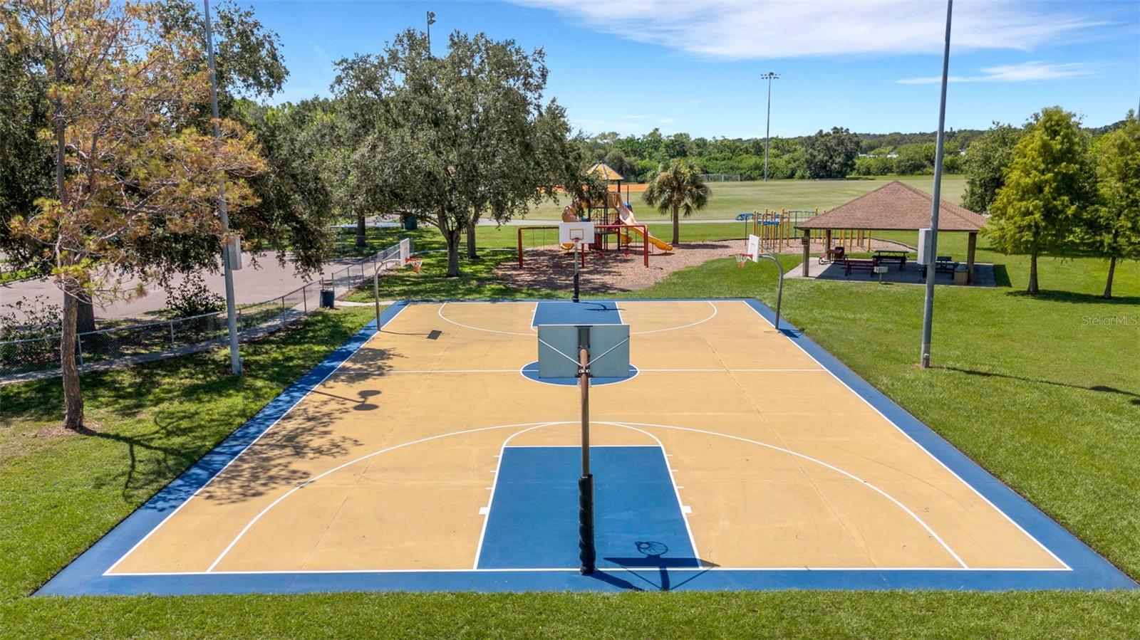 Game of Hoops, anyone? Notice playground, jungle gym and picnic area