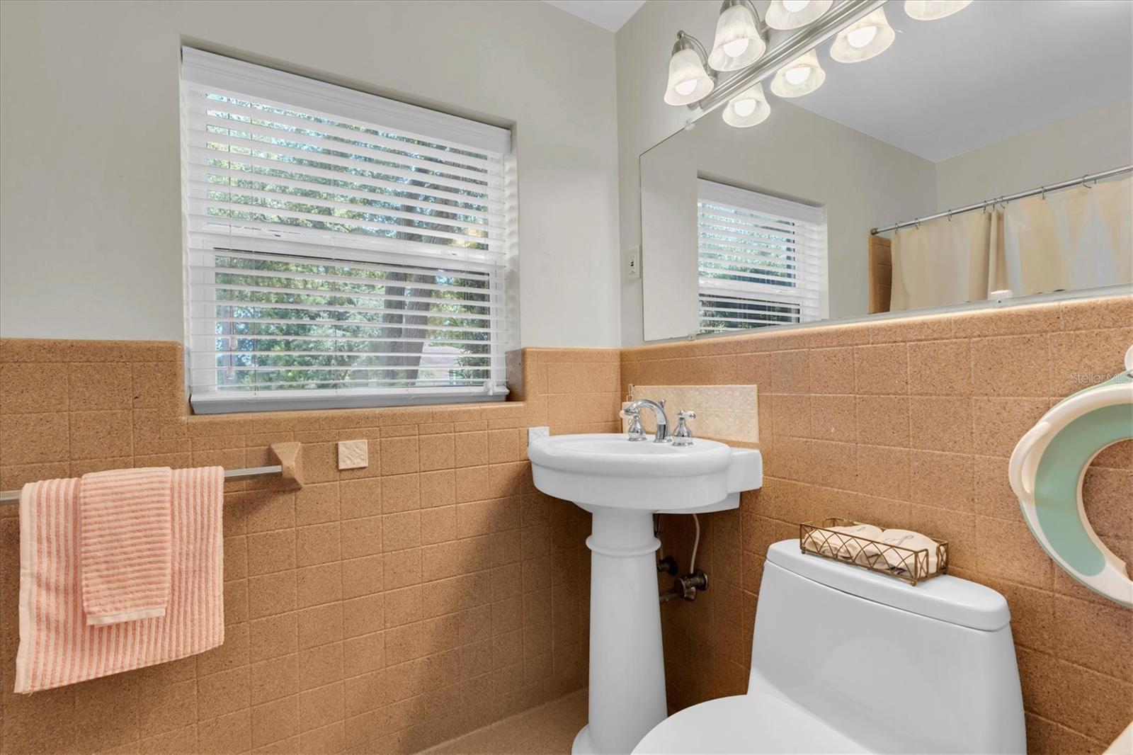 Downstairs tub/shower combination bathroom