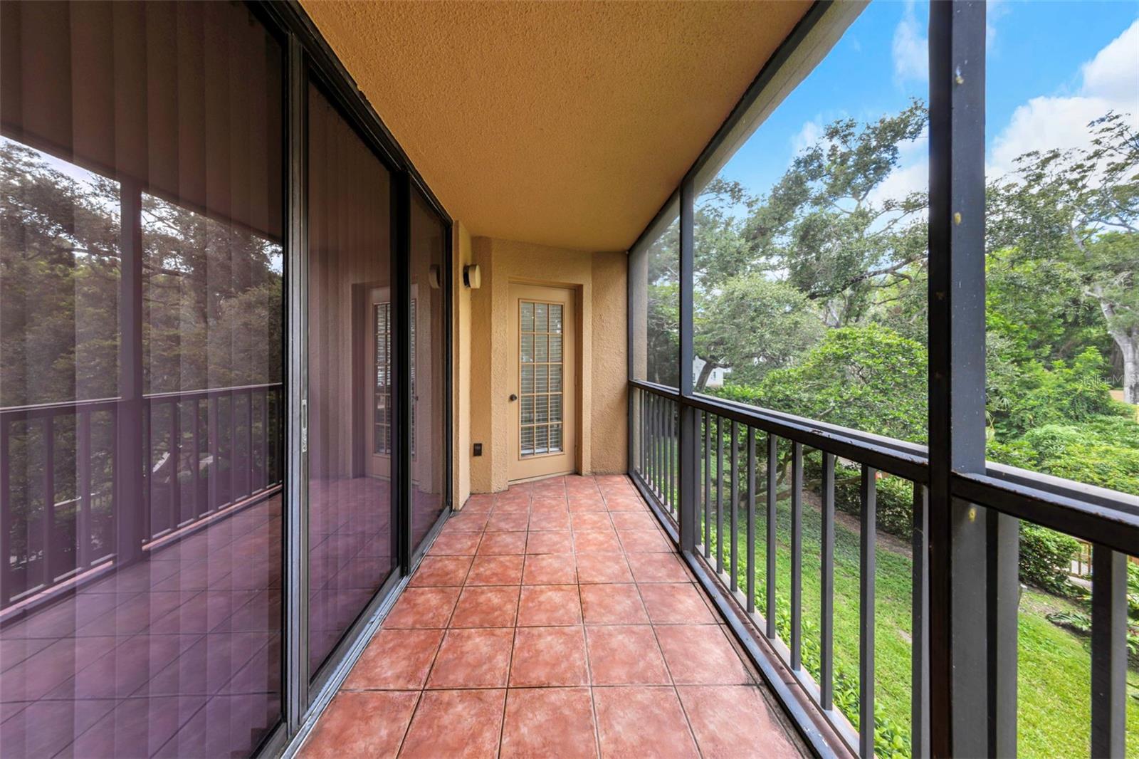 Rear Patio