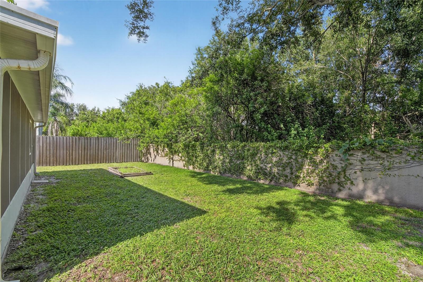 NO BACKYARD NEIGHBORS