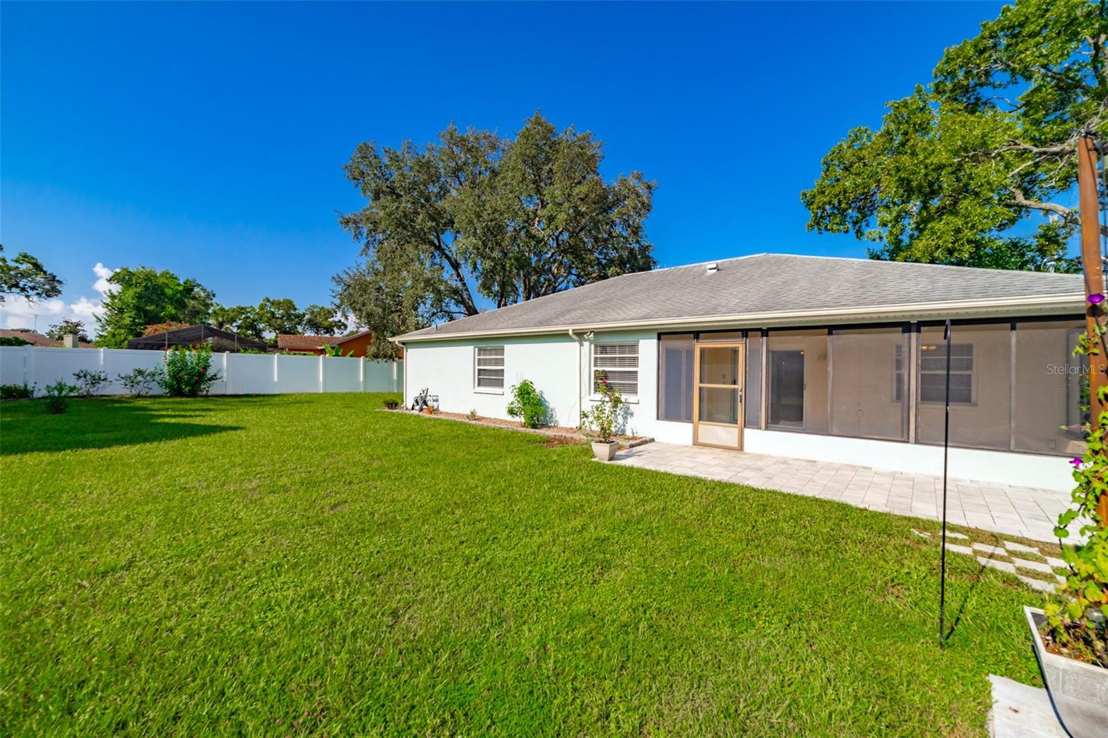 Spacious Rear Yard with room for Pool