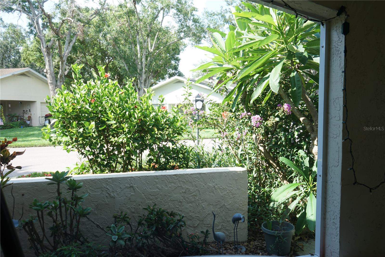 view from front porch