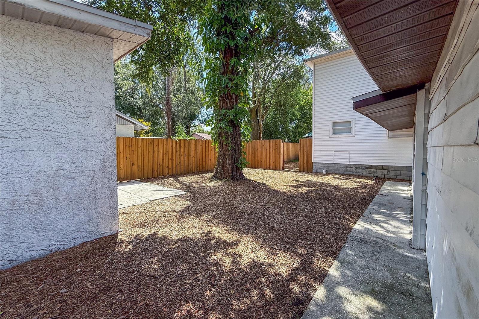 Shed on the left.  Main house on the right. Addition on the far side of the split backyard.