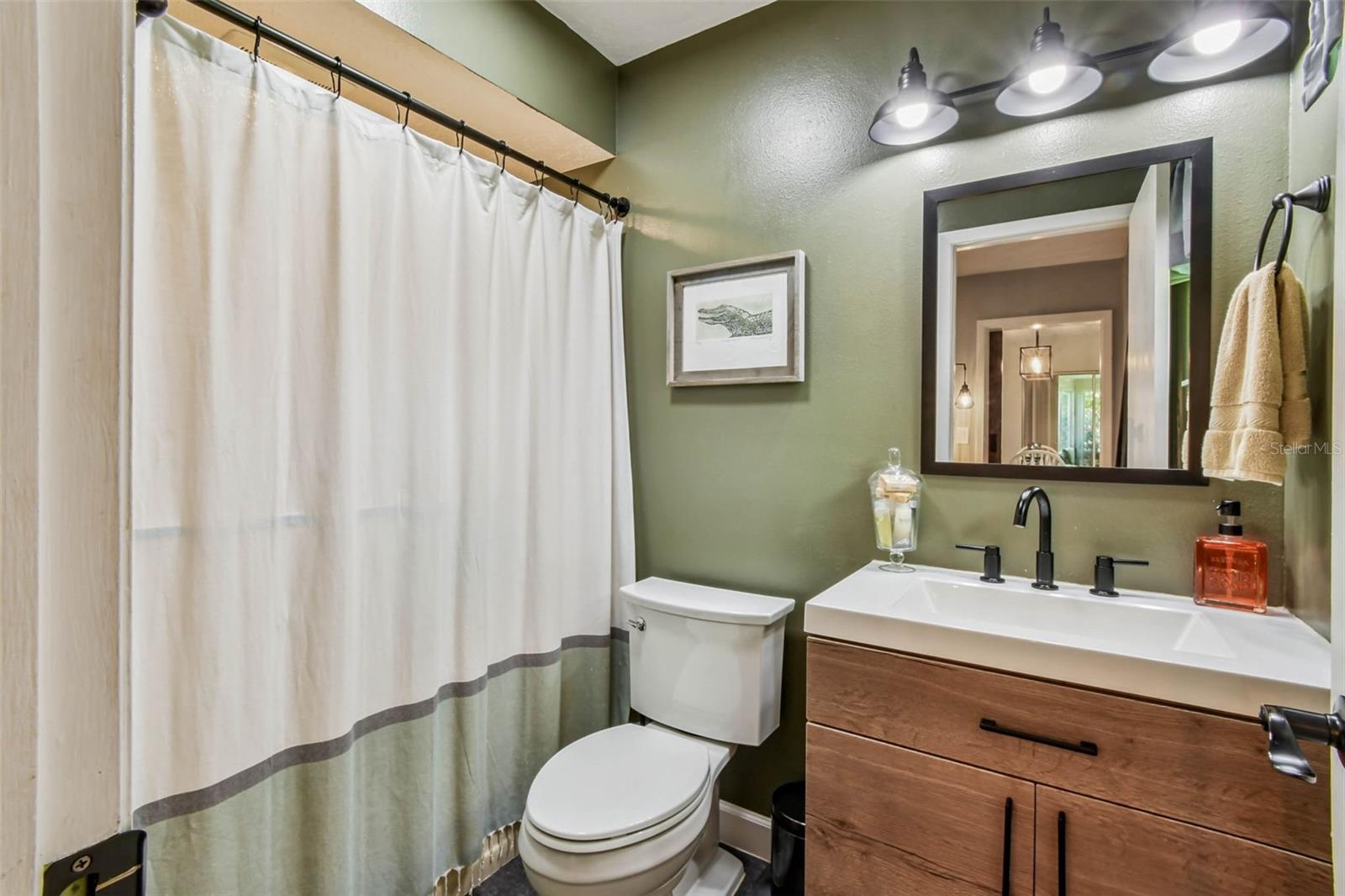 The 3rd bathroom has been recently updated with a new vanity, toilet, and fixtures.