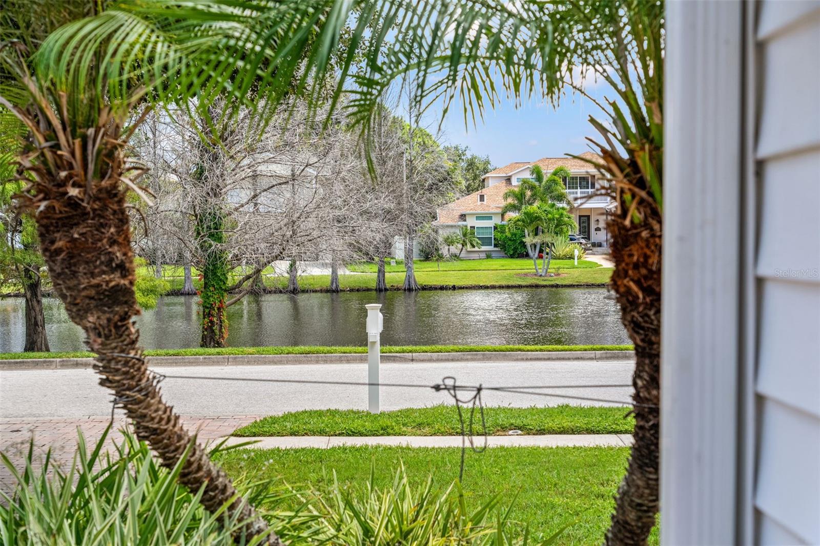 Peaceful pond views right across the street, framed by swaying palms.