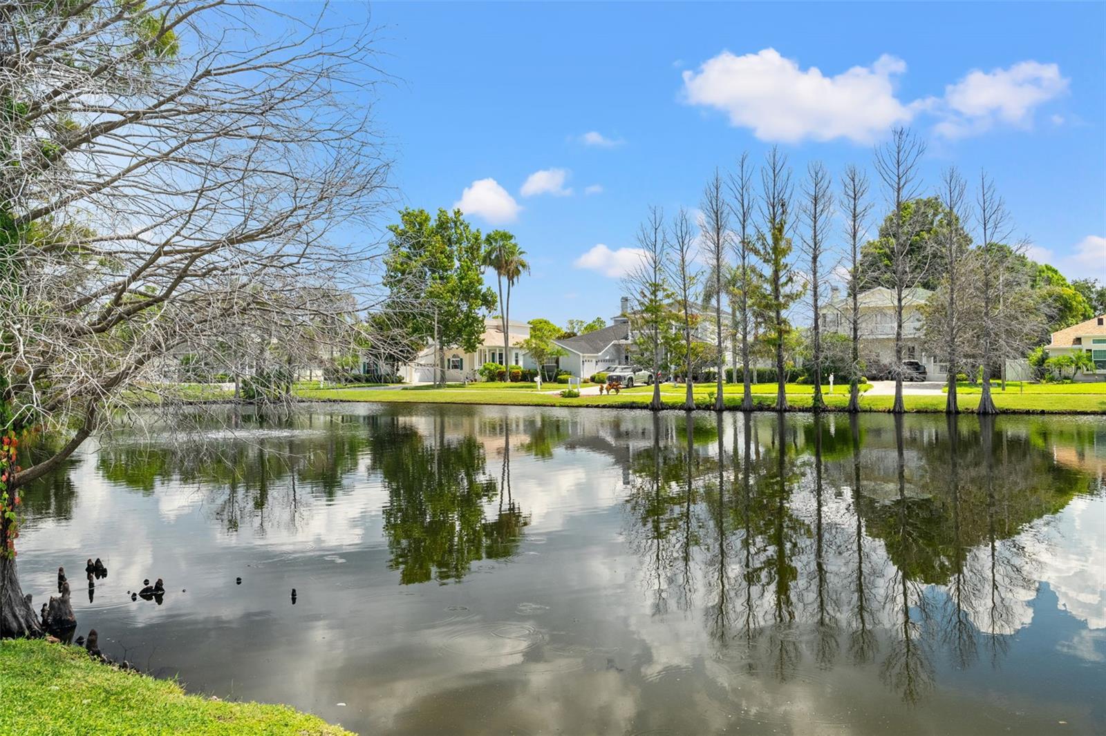 Picturesque water views with mature cypress trees, perfect for birdwatching and enjoying nature.