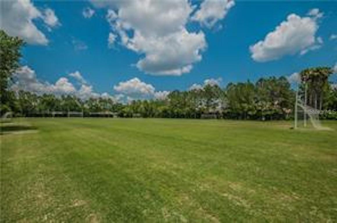 Expansive grassy area ideal for soccer, frisbee, or casual outdoor play with scenic wooded backdrops.