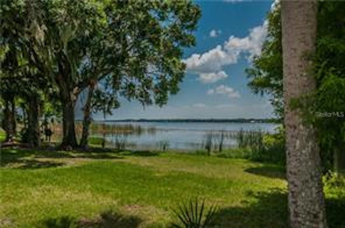 Serene lakefront vistas surrounded by native trees and wetlands create a tranquil retreat just moments from home.