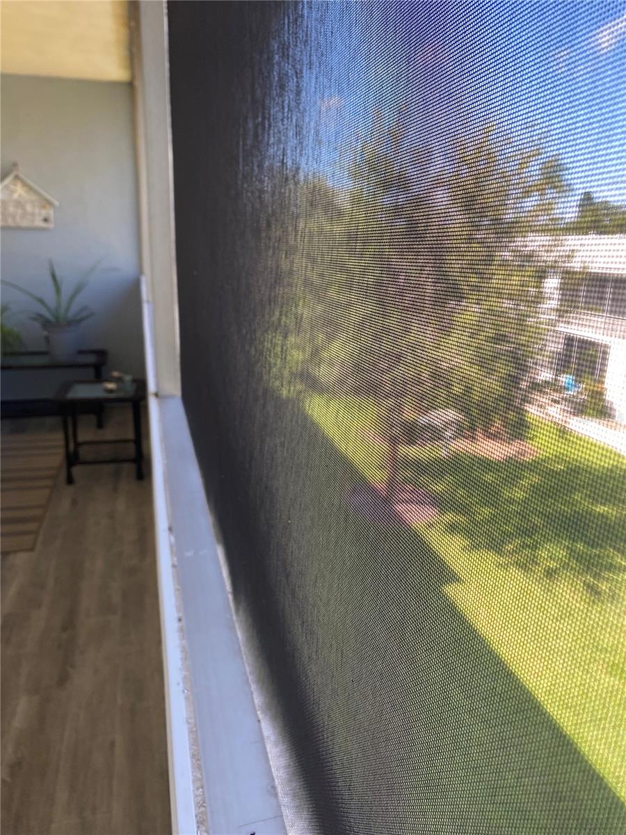 Porch View