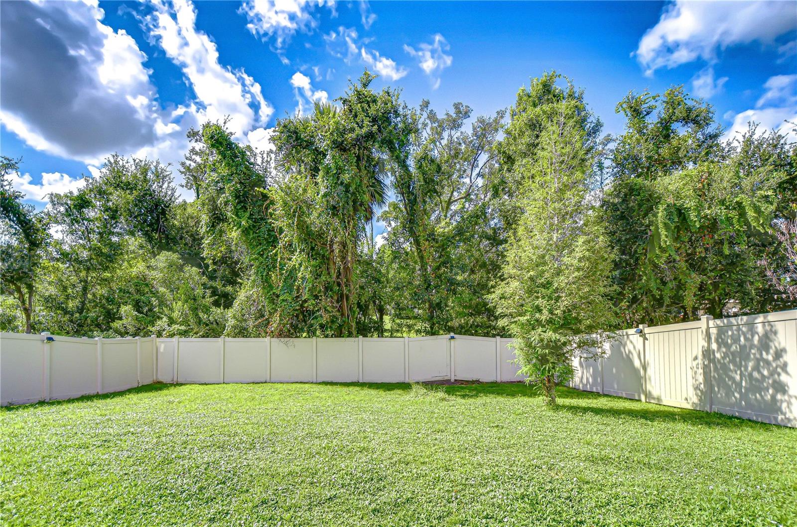 Spacious backyard!