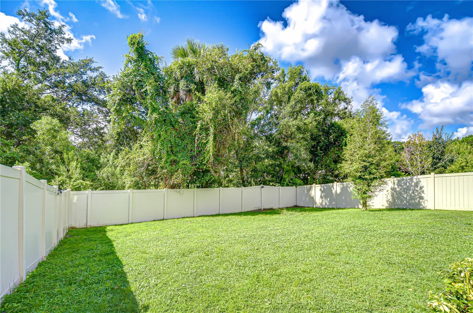 Large fenced yard!