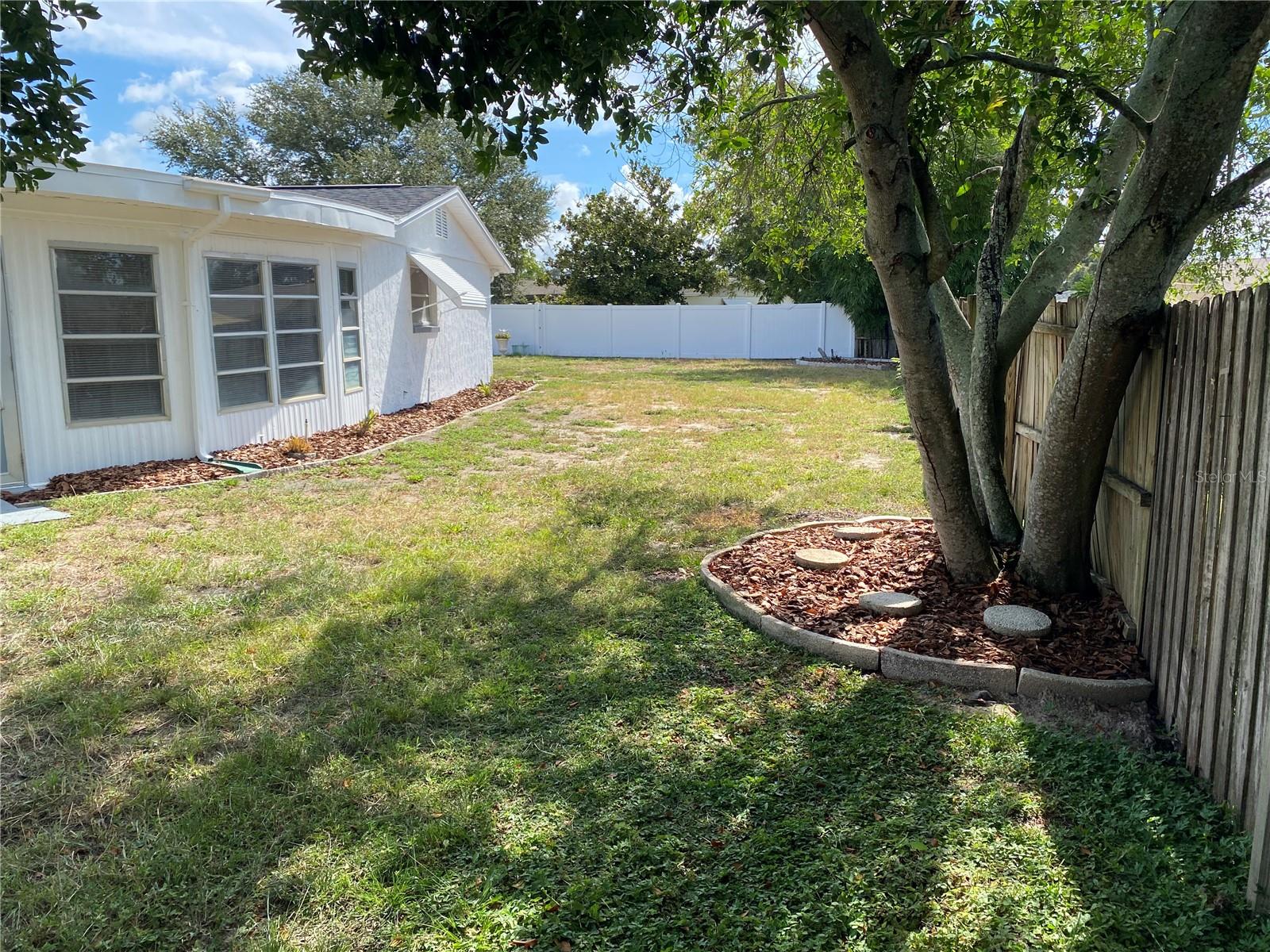 Back Yard