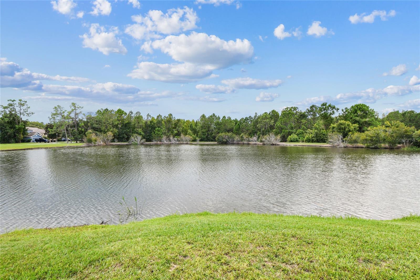 Pond/Conservation view